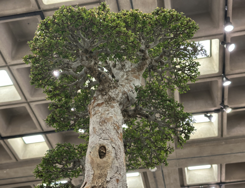 The John Naka Memorial Exhibit–Past Legacy and the Future